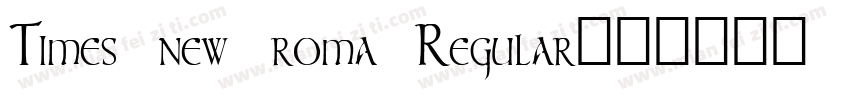 Times new roma Regular字体转换